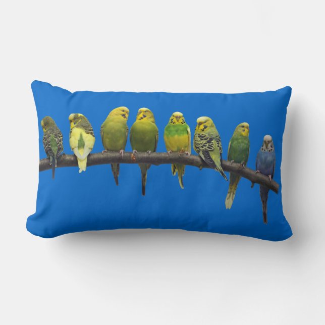 Impar una almohada fuera (azul) (Anverso)