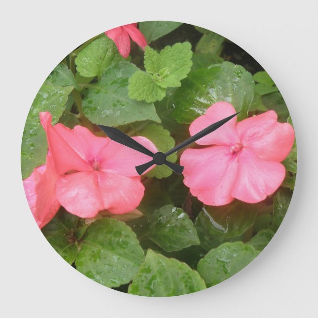 Impatios rosados flores reloj de pared (Anverso)