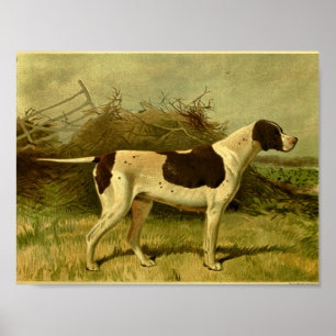 Impresión 1881 del perro del indicador del vintage