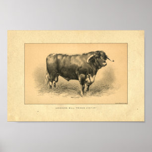 Impresión 1888 de Bull del vintage