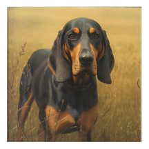 Coonhound negro y fuego