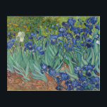 Impresión Acrílica Flores irlandesas Van Gogh Pintura Vintage Floral<br><div class="desc">Único, resistente al agua, fácil de limpiar, decoración de la habitación, impresión de arte de pared acrílico en color HD, con un hermoso y colorido aceite de vintage detallado en pintura de lona, de Vincent van Gogh, de iris y flores de temporada en un jardín. Hermosas obras de arte para...</div>