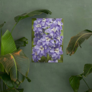 Impresión Acrílica Hermosa Floral De Delfino Púrpura