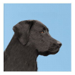 Impresión Acrílica Labrador recuperador pintura negra original de per