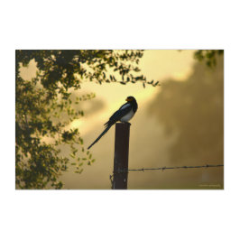 Impresión Acrílica Mina en una cerca