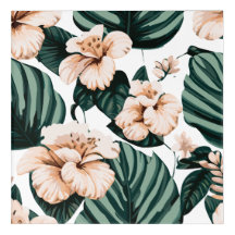Monstera deja hibiscus
