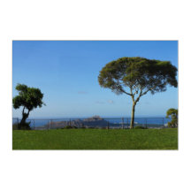 Pared acrílica honolulu Hawaii Art 36 x 24