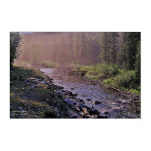 Parques de Montana-Alberta de bonito Misty Creek
