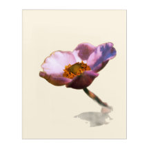 Pink Dream Flowers – Ethereal Fantasy Floral