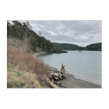 Puget Sound Washington Coast Acrylic Art