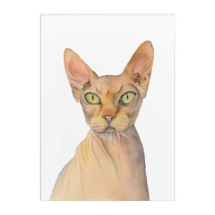 Impresión Acrílica Retrato de la acuarela del gato de Sphynx