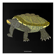Terrapin (black) - Acrylic Print