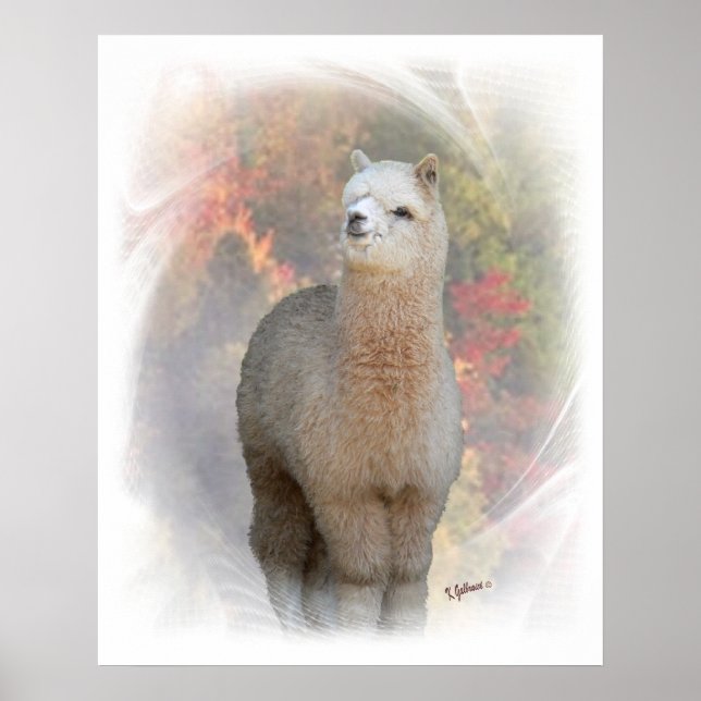 Impresión alpaca de otoño (Frente)