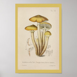 Impresión amarilla del arte de Brown de las setas