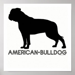 Impresión americana del bulldog