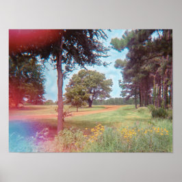 Impresión analógica de bosque de hadas