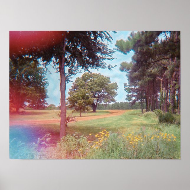 Impresión analógica de bosque de hadas (Frente)