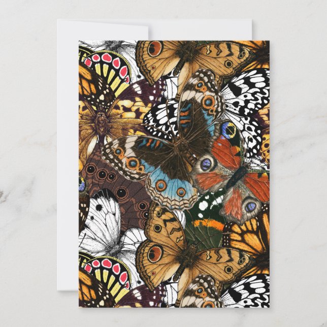 Impresión animal. Las alas de mariposa. (Anverso)