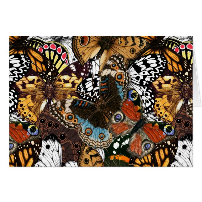Impresión animal. Las alas de mariposa. (Anverso (Horizontal))