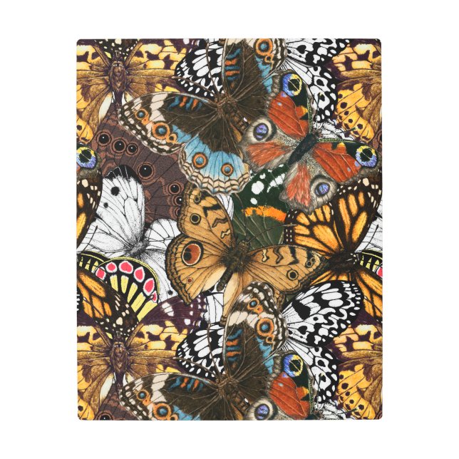 Impresión animal. Las alas de mariposa. (Anverso)