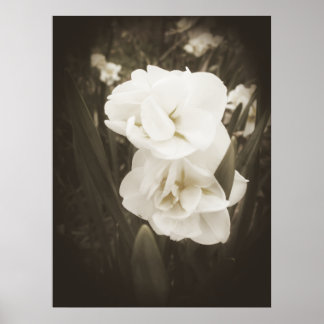 Impresión antidaffodil