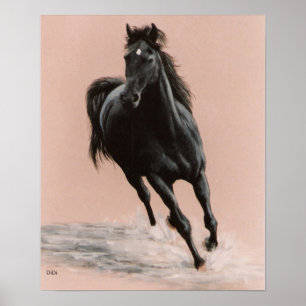 Impresión árabe negra del caballo