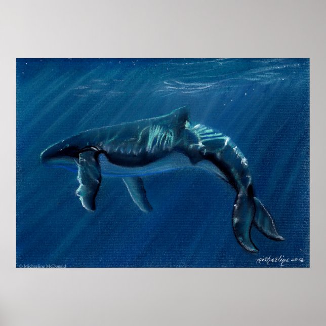 Impresión armónica de lienzo de ballenas jorobadas (Frente)