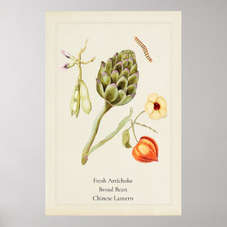 Impresión artística botánica de alcachofa culinari