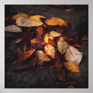 Impresión artística de hojas de otoño caídas