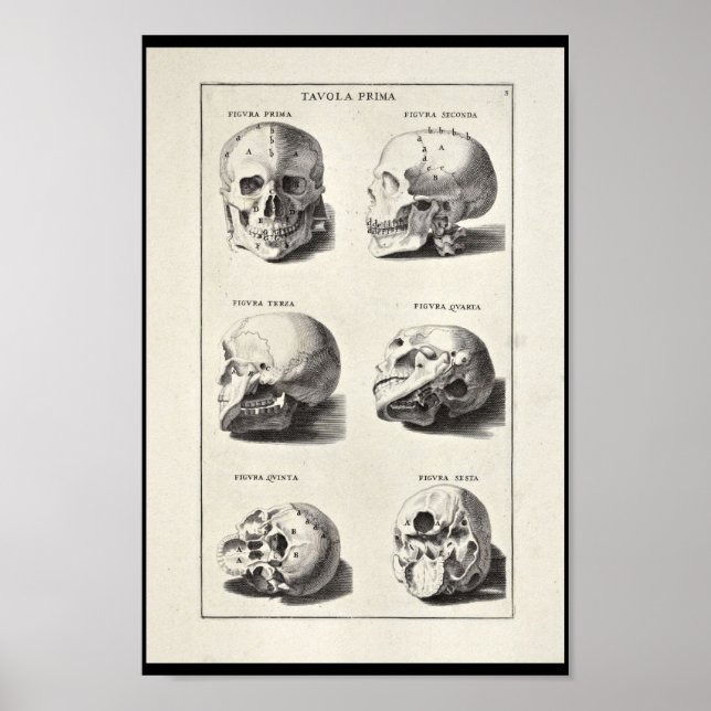 Impresión artística de la anatomía artística de 16 (Frente)
