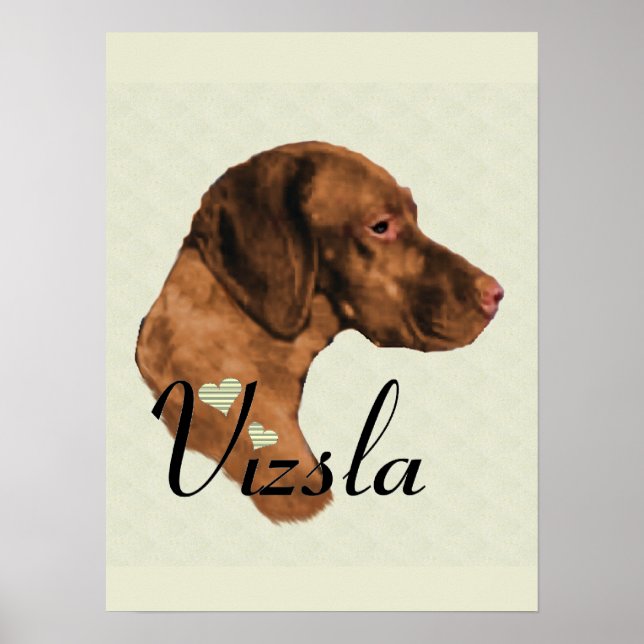 Impresión artística de Vizsla (Frente)