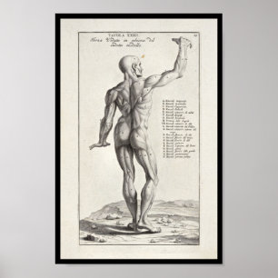 Impresión artística del arte de cuerpo de 1691
