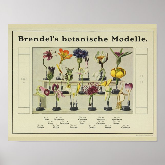 Impresión artística del modelo de flores de Brende (Frente)