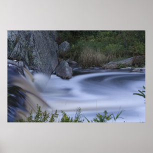 Impresión artística fina de la Tierra Mágica