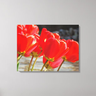 Impresión artística floral de tulipanes lienzo Flo