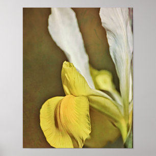 Impresión artística fotográfica de flor de lirio a