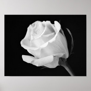 Impresión artística fotográfica en blanco y negro