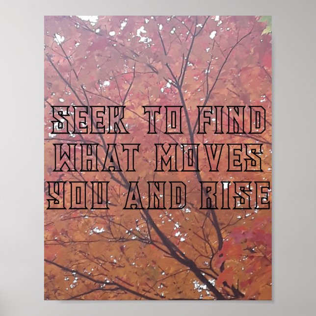 Impresión artística, papel Poster de valor (mate) (Frente)