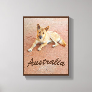 Impresión australiana de la lona del dingo