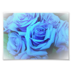 Impresión azul de la foto de los rosas