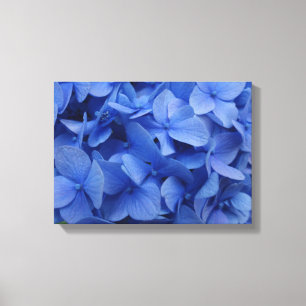 Impresión azul de la lona del Hydrangea