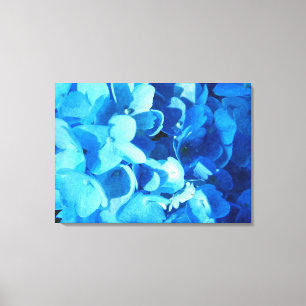 impresión azul - flores hortícolas de verano