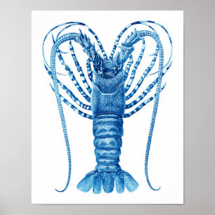 Impresión azul no.8 de la langosta de la cocina d