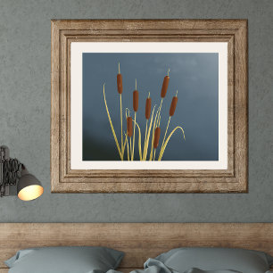 Impresión Bella Artes de Cattails