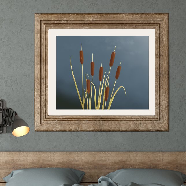 Impresión Bella Artes de Cattails (Subido por el creador)