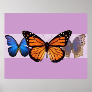 Impresión bonita de tres mariposas