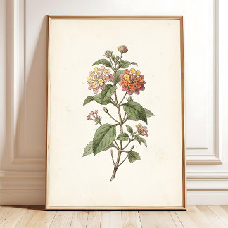 Impresión Botánica Cottagecore de Lantana