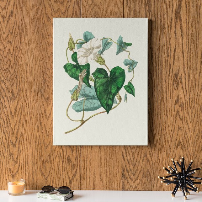 Impresión botánica de acuarela antigua (Antique Watercolor Botanical Print)