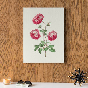 Impresión botánica de acuarela antigua