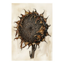 Impresión botánica de girasol seco | Naturaleza vi